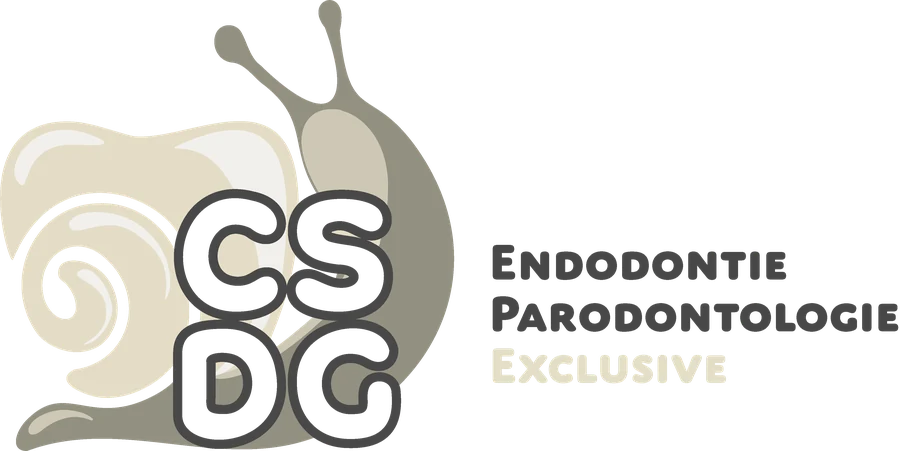 CSDG, Cabinet Spécialisé de Gelbressée